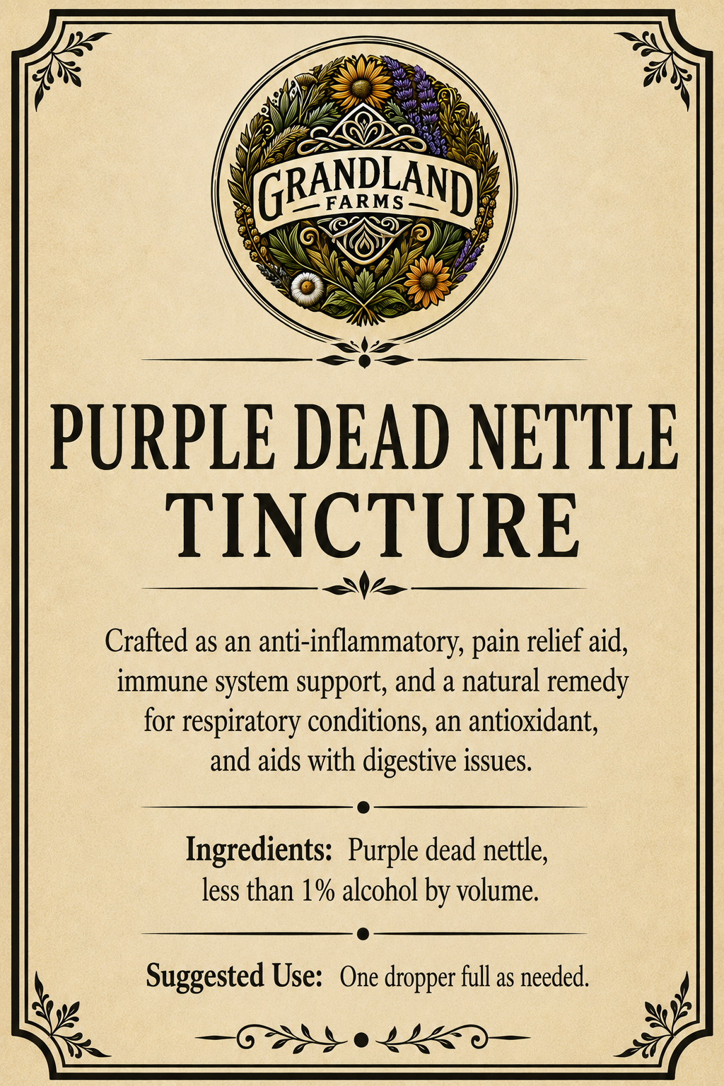 Purple Dead Nettle Tincture