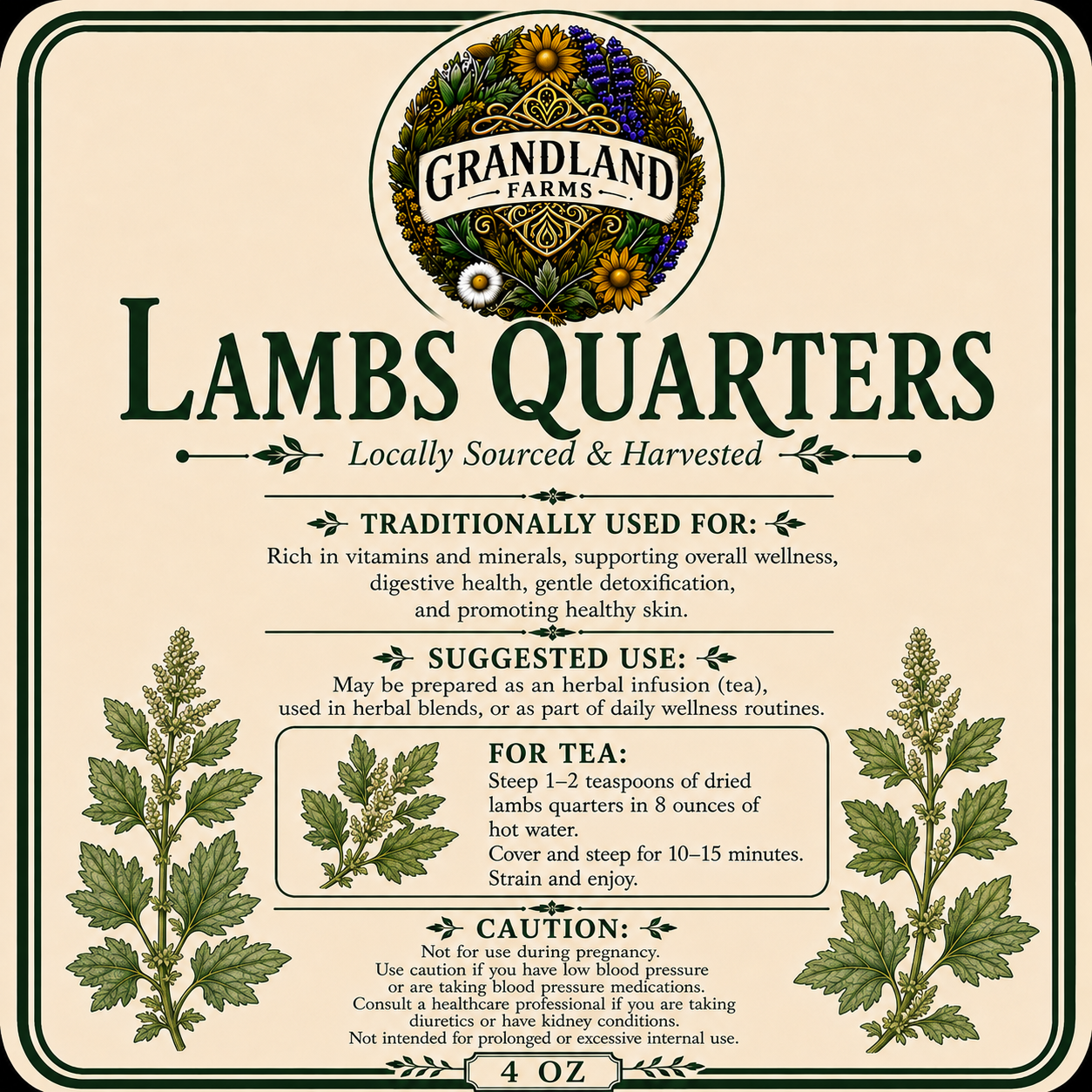 Lamb’s Quarters