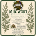 Mugwort