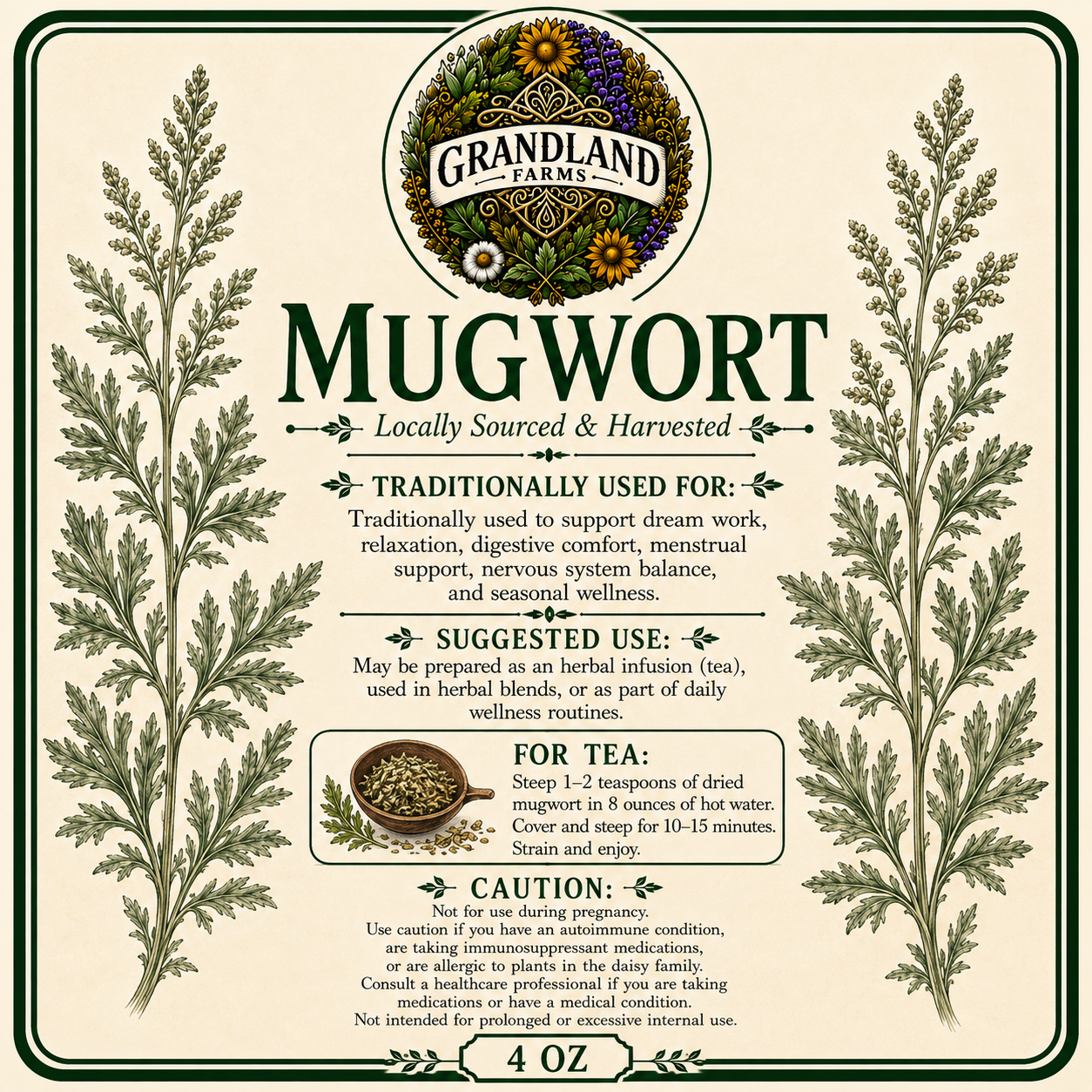 Mugwort