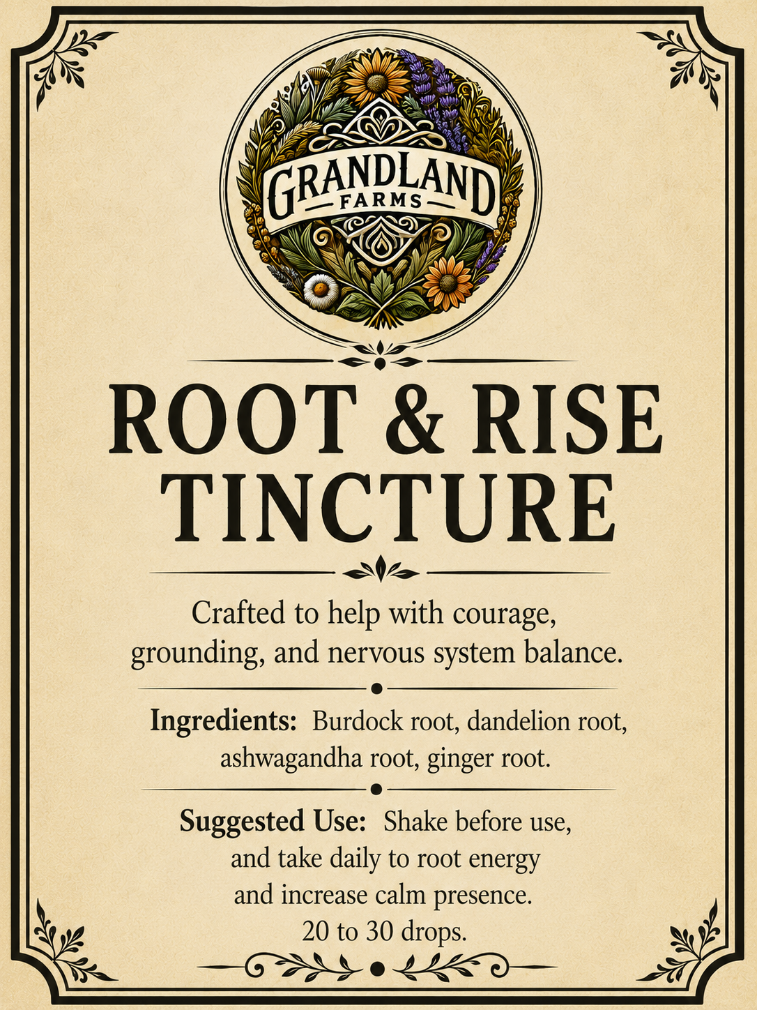 Root & Rise Tincture